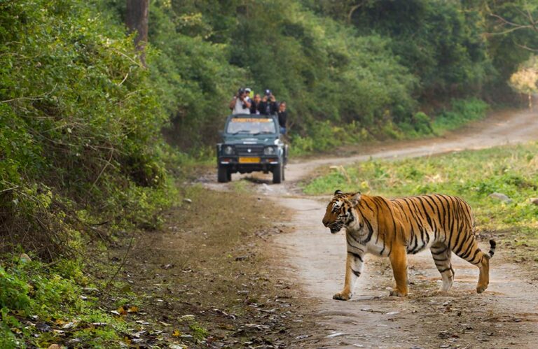 pune to Jim-Corbett-National-Park